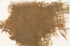 Etikett zu Textil (NHMW-PRAE-120937)